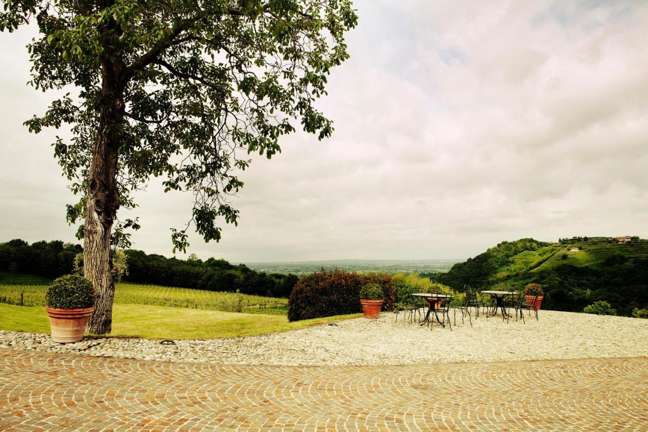 Agriturismo L'Uva E Le Stelle Faedis Exterior photo